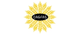 BAGFAŞ